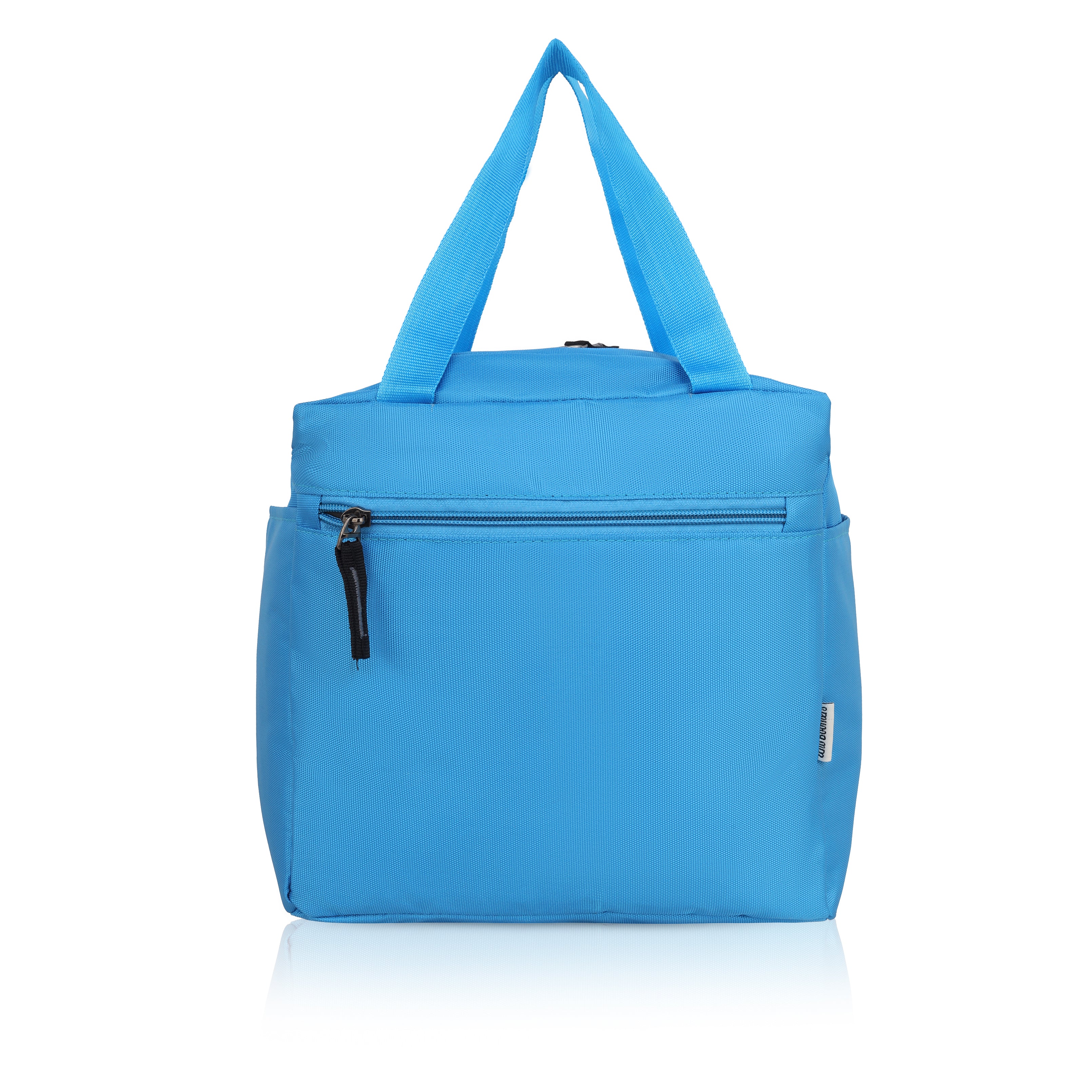Echo Boomers Nice Day Green Bird Print Sky Blue Lunch Bag for Kids | Stylish, Lightweight & Durable | School, Travel & Picnic Use | Premium Zipper, Sturdy Handle, Easy to Clean