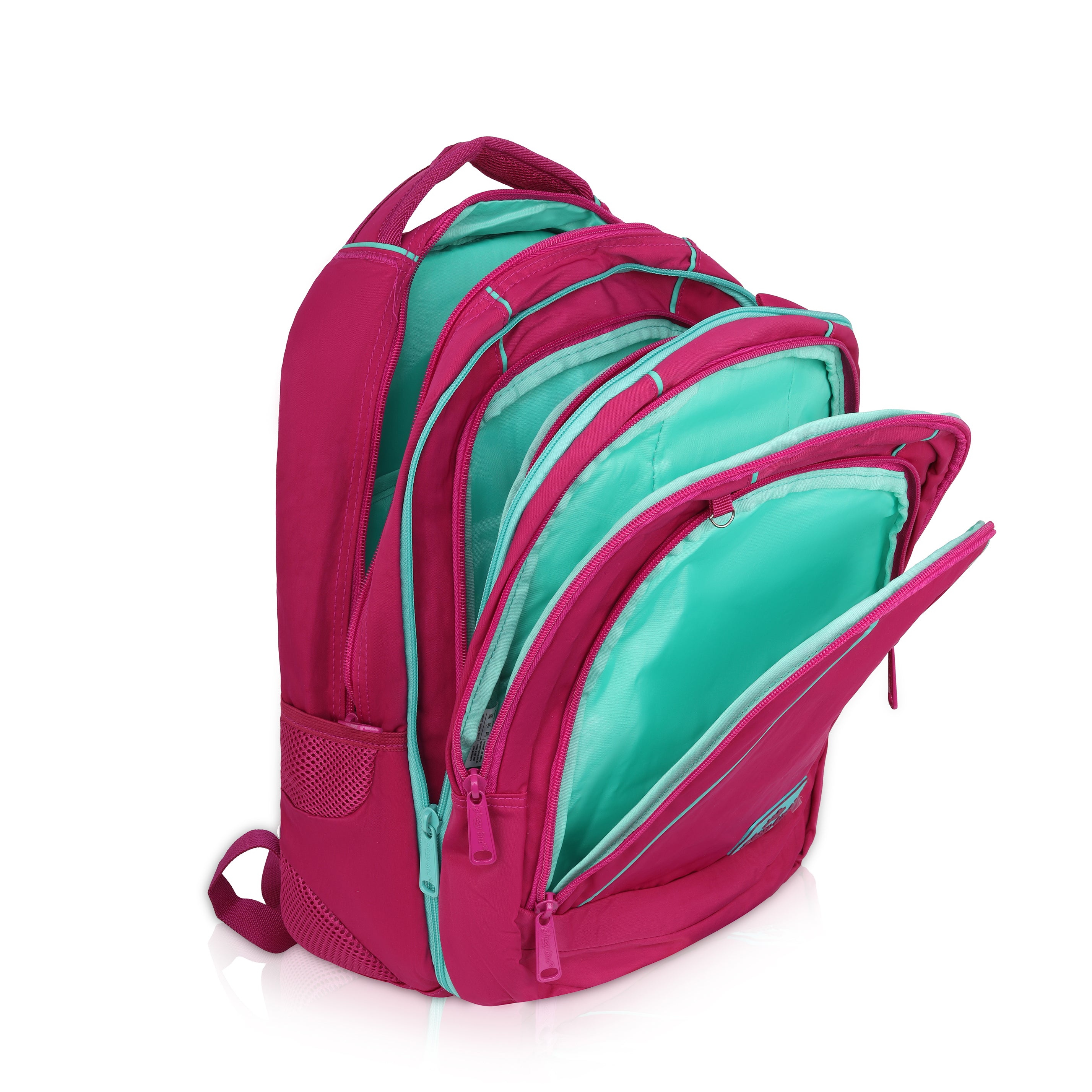Echo Boomers Glossy Bird Backpack (PINK) – Water-Resistant Unisex Bag with 4 Compartments, Detachable Pouch, Bottle Holder & Padded Straps – School, College, Work & Travel Bag