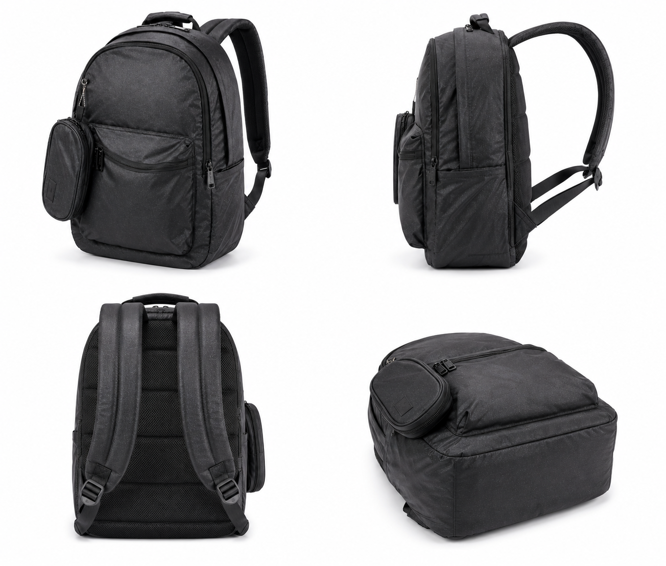 Echo Boomers Glossy Bird Everyday Backpack with Pencil Pouch| Water-Resistant Backpack for School, College, Office & Travel | Lightweight with Multiple Compartments