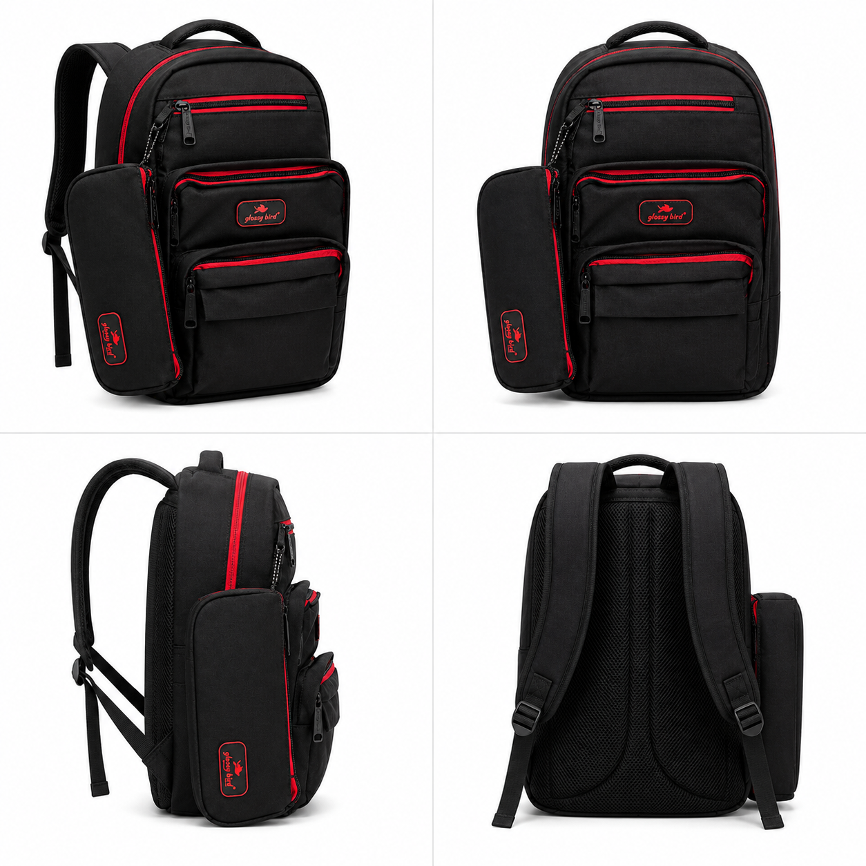 Echo Boomers Glossy Bird Everyday Backpack with Pencil Pouch| Lightweight Water-Resistant Travel, School, College & Office Backpack with Multiple Compartments