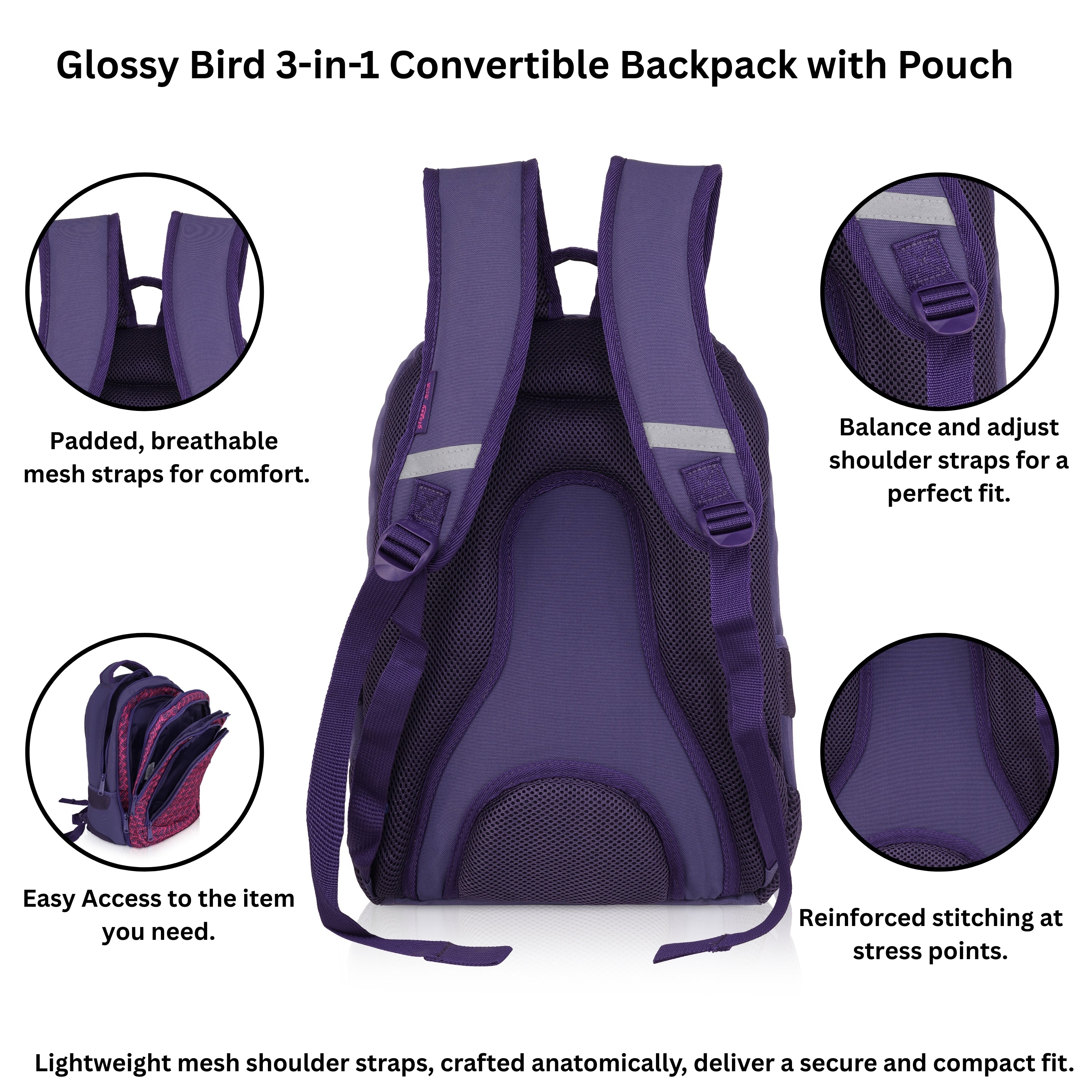 Echo Boomers Glossy Bird Unisex Backpack for School, Office & Travel – Water-Resistant, Lightweight Bag with 4 Compartments, Bottle Holder, Detachable Pouch & Ergonomic Straps (Purple)