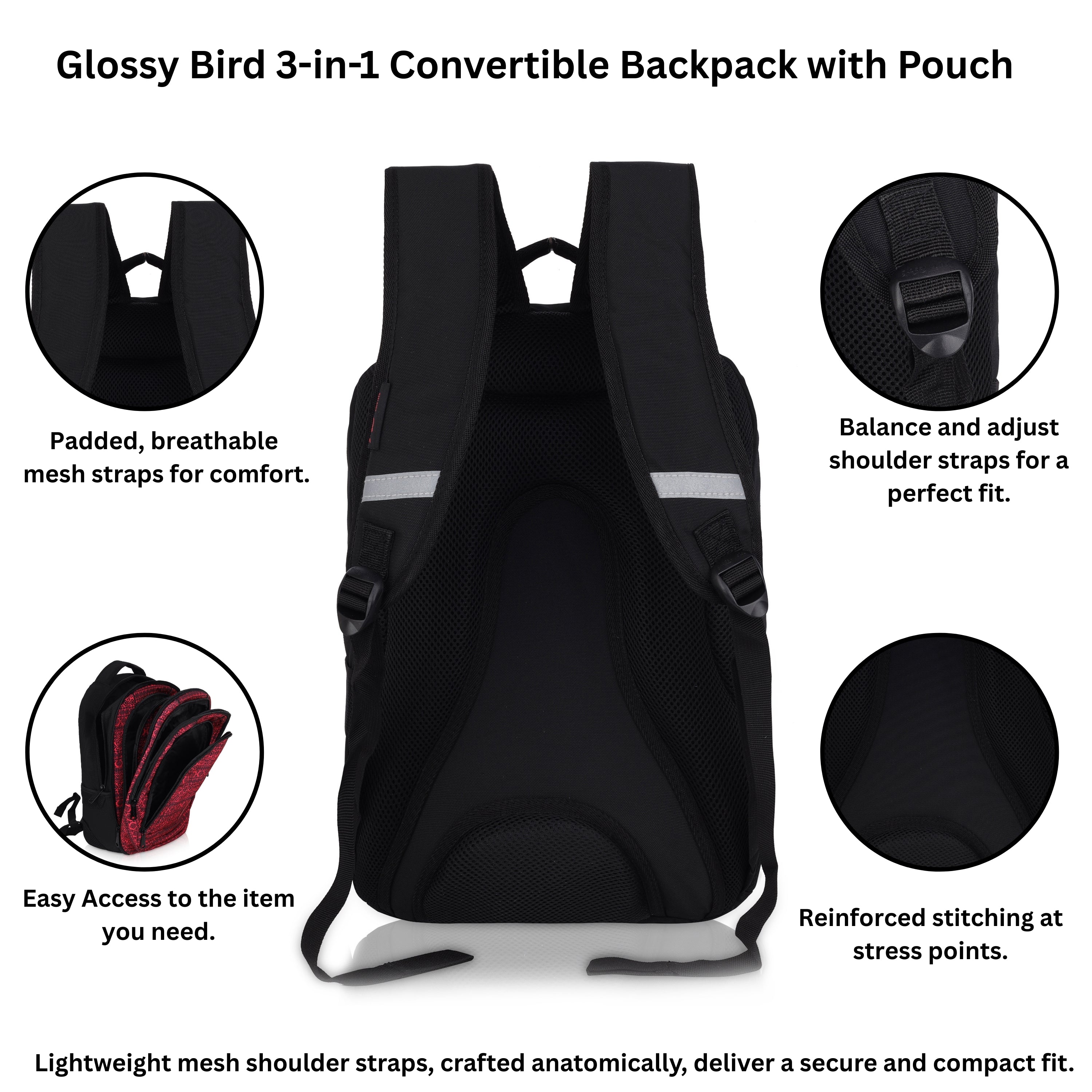 Echo Boomers Glossy Bird Unisex Backpack for School, Office & Travel – Water-Resistant, Lightweight Bag with 4 Compartments, Bottle Holder, Detachable Pouch & Ergonomic Straps (Purple)