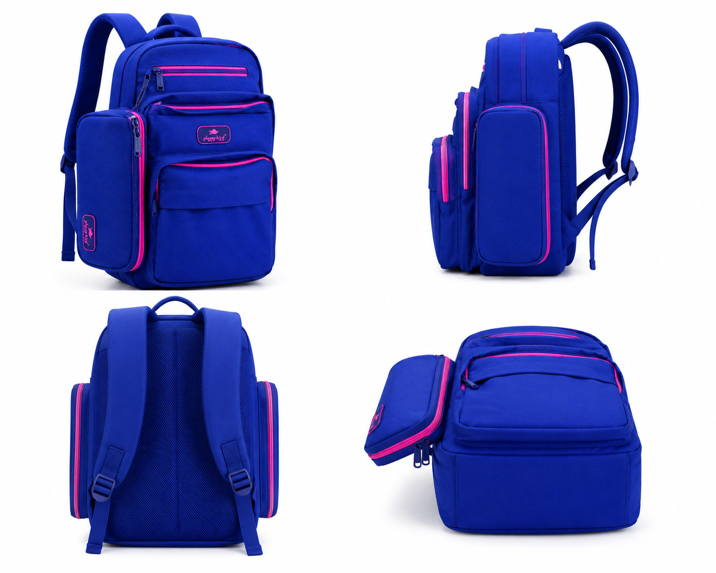 Echo Boomers Glossy Bird Everyday Backpack with Pencil Pouch| Lightweight Water-Resistant Travel, School, College & Office Backpack with Multiple Compartments